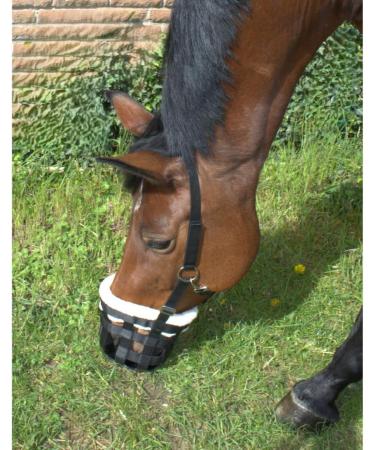 PFIFF 102979 Black Shetty Muzzle with Faux Fur Headpiece - Ideal for Safe and Comfortable Horse Training | International Shipping Available - Buy Online on GoSupps.com