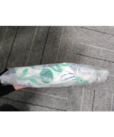 Large Green Cactus Travel Toiletry Bag - Women's Makeup Organizer - Buy Online on GoSupps.com