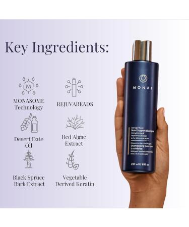 Buy MONAT Damage Repair Bond Support Shampoo | Nourishing Daily Cleanser for Stronger Hair | Advanced Repair Technology & Fortifying Ingredients - Buy Online on GoSupps.com