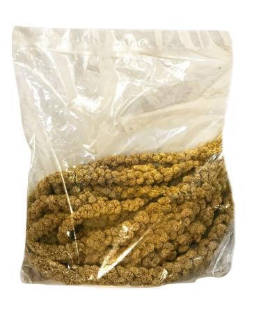 Worlds Freshest Spray Millet Nemeth Farms-The Original Bird Treat and Supplement GMO-Free No Pesticides (No Stems Only Edible Tops) for All Pet Birds Parakeets, Cockatiels, Lovebirds and Finches 1 Pound (Pack of 1)