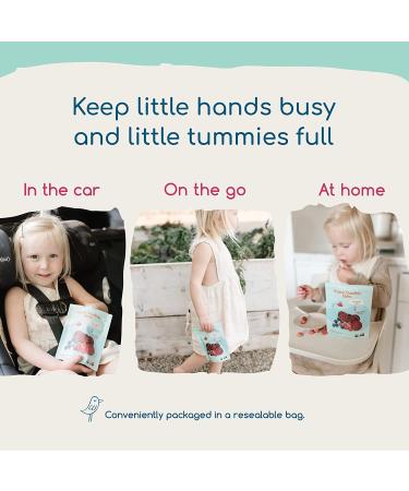 Amara Yogurt Melts Carrot Raspberry | Healthy Snacks for Baby and Toddlers | Gluten Free & Plant Based | Organic Fruit | 6 Pouches - Buy Online on GoSupps.com