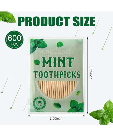 Mint Menthol Toothpicks - 600 Pcs Bulk Natural Wooden Dental Picks for Oral Health - Buy Online on GoSupps.com