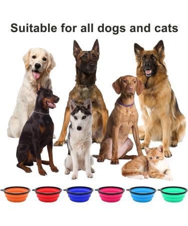 2 Pack Large Foldable Dog Bowls - 1000ml Portable Pet Feeder for Travel & Hiking (Red + Orange) - Buy Online on GoSupps.com