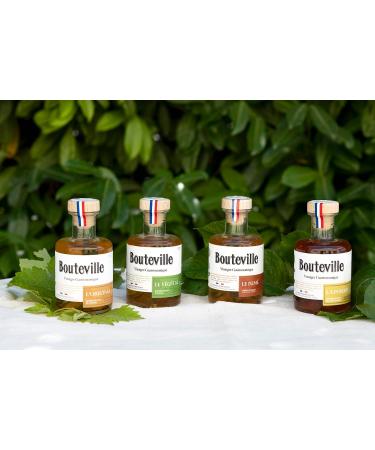 Bouteville Gastronomic Vinegar La Pomme 200 ml Apple Cider Vinegar Belchard Charentaises Refined in Oak and Chestnut Barre - Buy Online on GoSupps.com