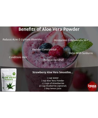 Organic Aloe Vera Powder Aloe Barbadensis for Cooling Face and Hair Mask Natural Moisturizer ONE Resealbale Pack of 8 oz/223 Gram 8.0 ounces - Buy Online on GoSupps.com
