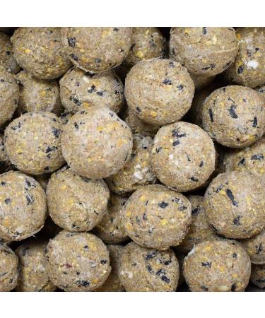 Premium fat balls with insects 100 x approx. 90 grams without net