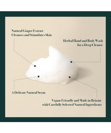 Napiers Ginger Detox Natural Body Wash with Citrus Extracts | Stimulate and Restore Skin - 300ML - Buy Online on GoSupps.com