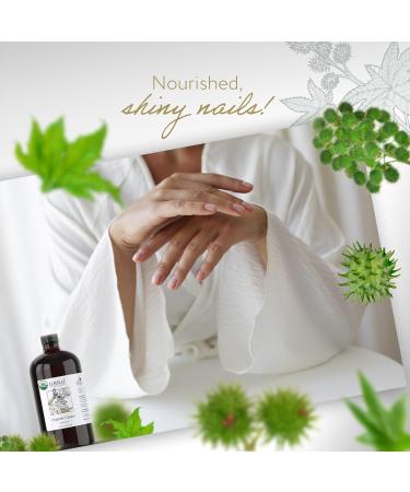 HBNO Organic Castor Oil - 32 oz (960ml) Value Size - Ideal for Shampoos Conditioners Mouth Washes Face wash Lotions and Skin Care Products (Glass Bottle) - Buy Online on GoSupps.com