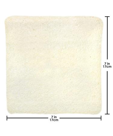 NUCO Organic Coconut Wraps - Original 5 Pack (14g Each) | Healthy, Gluten-Free & Vegan - Buy Online on GoSupps.com