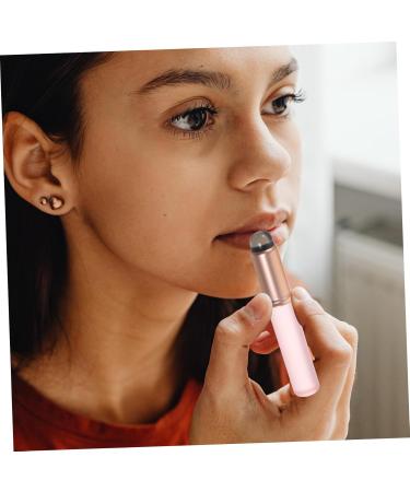 FRCOLOR 8 Pcs Lip Brush Set - Portable Makeup Brushes for Lipstick - Aluminum Tube Perfect for International Shipping - Buy Online on GoSupps.com