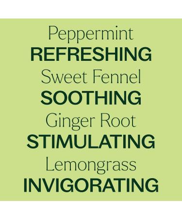 Plant Therapy Gut Aid Essential Oil Blend Roll-On 10 mL | 100% Pure & Pre-Diluted Natural Aromatherapy | Shop Internationally - Buy Online on GoSupps.com