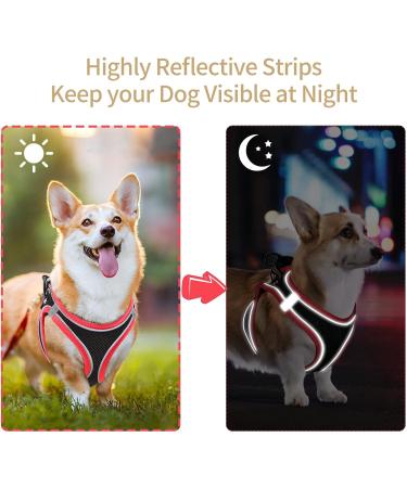 Heele Soft Mesh Dog Harness for Medium & Small Dogs - Adjustable Reflective Breathable - Black Red (1 Pack) - Buy Online on GoSupps.com