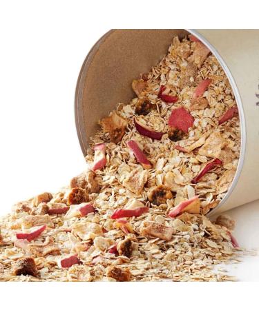 OneDayMore Porridge Pomme-Cannelle Sans Sucre Ajout | 450g | Flocons d avoine figues et pommes s ch es | Haute teneur en fibres - Buy Online on GoSupps.com