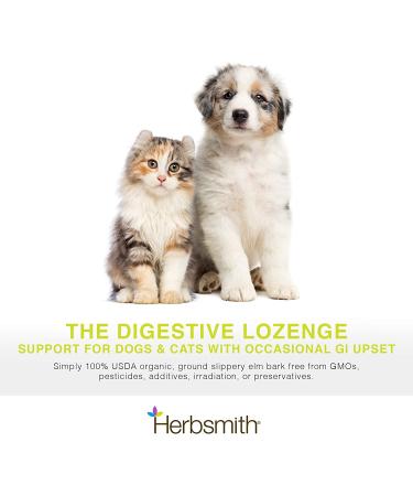 Herbsmith Organic Slippery Elm 75g Powder - Digestive Aid for Dogs and Cats - Constipation Relief - Megaesophagus Support - Buy Online on GoSupps.com