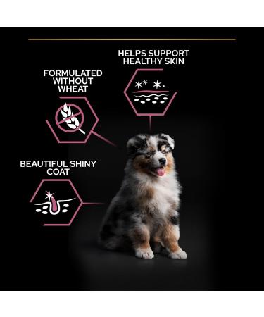 PRO PLAN Medium Puppy Sensitive Skin Rich in Salmon - 12 kg - Dry Food for Medium Puppies with Sensitive Skin - Buy Online on GoSupps.com