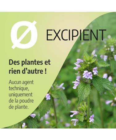  Orgaliane Ballote 200 mg - 200 capsules - Buy Online on GoSupps.com