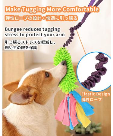 Shop Schitec Dog Toys | Interactive Training Rope Squeaky Dashy Toys for All Dog Sizes - Premium Chenille & Short Grip - Buy Online on GoSupps.com