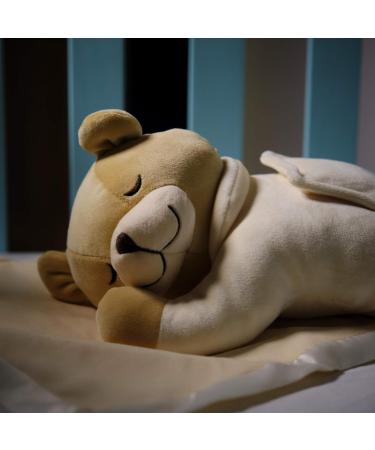 Prince Lionheart Slumber Bear with Silkie| Sleep Aid | Soothing Womb Sounds | Designed By A Doctor | Newborn Infant & Toddler | White Noise | Removeable Sound Box Cream - Buy Online on GoSupps.com