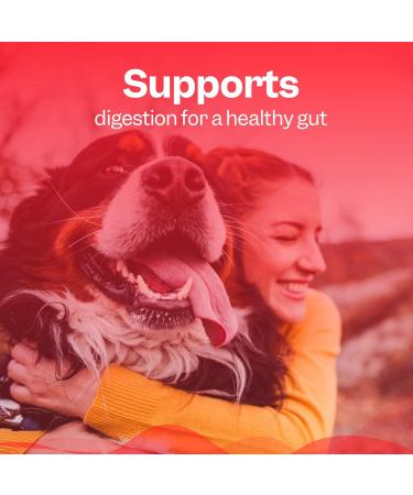 Slippery Elm Powder Tree Barks Powder for Dogs 150g Dog Acid Reflux Treatment Supported with Dog Probiotics Daily Supplement for Upset Tummy & Constipation - Buy Online on GoSupps.com