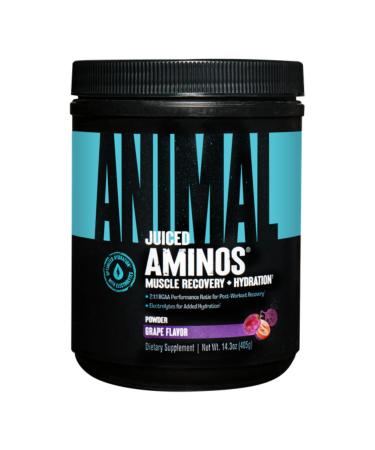 Animal Omega Omega 3 & 6 Supplement with Fish Oil & Flaxseed Oil Plus Juiced Amino Acids BCAA/EAA Matrix for Recovery - 30 Servings Each