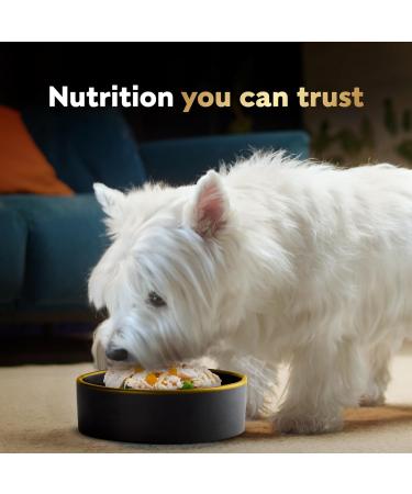 Cesar Wholesome Bowls Adult Wet Dog Food Beef Chicken Carrots & Purple Potato 85g Pack of 10 Beef & Chicken 85 g (Pack of 10) - Buy Online on GoSupps.com