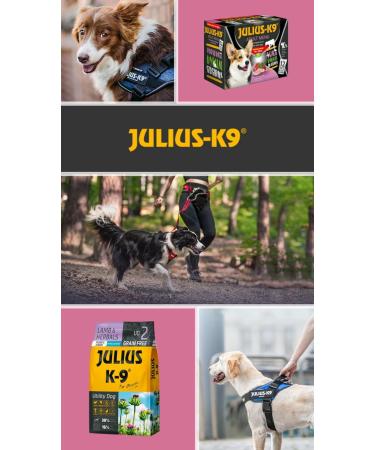 Julius-K9 - Lamb & Rice - Hypoallergenic food for adult dogs - Lamb and rice dog food - Suitable for all breeds - 3 kg - Buy Online on GoSupps.com
