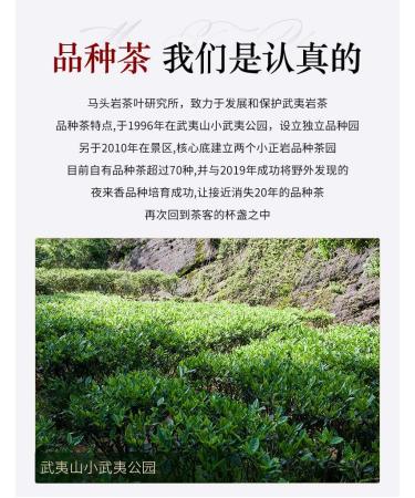 Wuyi rock tea 50g*8 - Buy Online on GoSupps.com