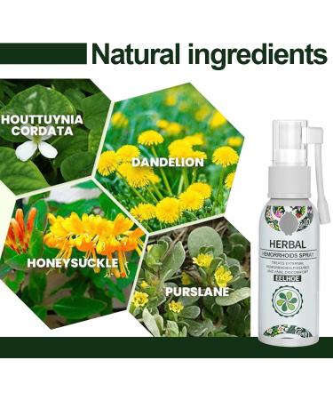 Natural Herbal Hemorrhoids Spray for Fast Relief | Soothing Itching & Burning | Heal Anal Fissures - 1 Piece - Buy Online on GoSupps.com