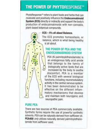 Natural Factors PEA400 - 90 Vegetarian Capsules for Enhanced Wellness - Buy Online on GoSupps.com