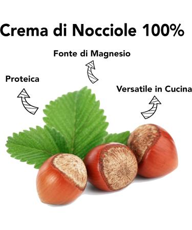 Organic Raw Hazelnut Butter 250 g - Buy Online on GoSupps.com