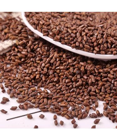 Cassia Seed Tea 500g Jue Ming Zi Cooked Cassia Seeds Cassia Angustifolia Tea Cassia Seed Tea cooked frying  - Buy Online on GoSupps.com