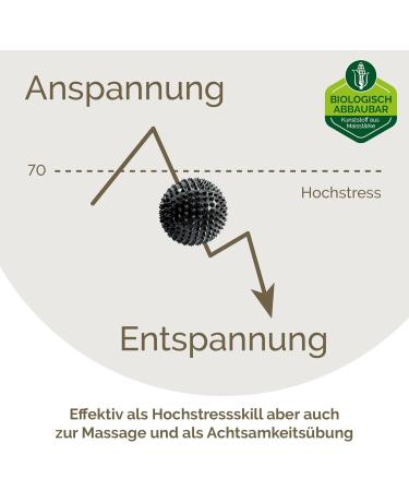 2x Biodegradable DBT Skills Hedgehog Ball - Magnetic Acupressure Stress Relief & Massage | Black 47mm | Boost Concentration & Alleviate Tension - Buy Online on GoSupps.com