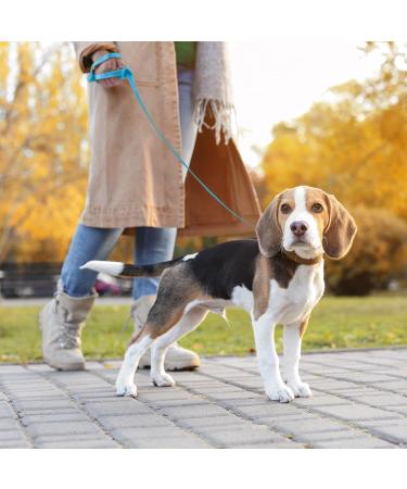 Buy Loutep Reflecting Training Line for Dogs - Extra Long Leashes in 3m to 30m - Strong Nylon Rope with Padded Handle for All Dog Sizes - Light Blue - Buy Online on GoSupps.com