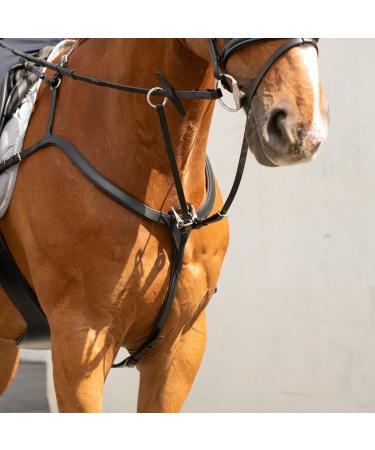 Sunride Front Stuff Ascot for Horses - Real Leather 5-Point & 3-Point Martingal - COB Black - Quick Threading Rings - Buy Online on GoSupps.com