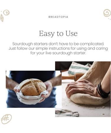 Breadtopia Sourdough Starter (Dry) - Organic & Non-GMO | Easy Instructions | Homemade Sourdough Bread - Buy Online on GoSupps.com