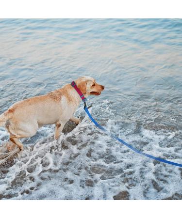 Wolfone 6m Blue Waterproof Dog Tow Line Leash - Heavy Duty Anti-Slip Training Leash for Outdoor Activities - Buy Online on GoSupps.com