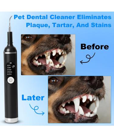 Kit de Nettoyage Tartre Dentaire Ultrasons pour Chien et Chat 5 Modes de Nettoyage et 4 T tes de Nettoyage Kits Dentaires Des Dents Contre Le Tartre pour Chien Chat - Buy Online on GoSupps.com