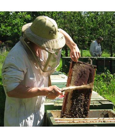 Imkerei Nordheide Cornflower honey 500 g powerfully aromatic natural raw honey from beekeeper Nordheide German honey from the beekeeper - Buy Online on GoSupps.com