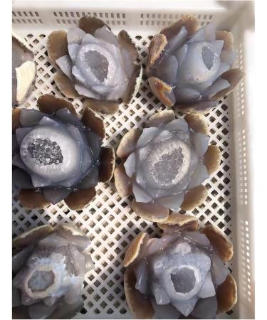 Natural Agate Geode Crystals Feng Shui Druzy Gemstones Quartz Water Lotus Ornament for Home Decoration ZJGIDTEM 1pc - Buy Online on GoSupps.com