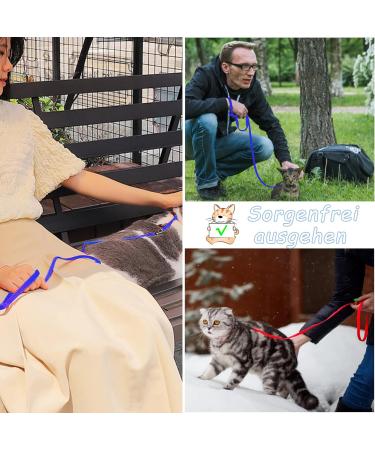 Soft Cat Crockery Dishes & Adjustable Leash Set for Kittens Puppies and Rabbits - Red & Blue - International Shipping Available - Buy Online on GoSupps.com