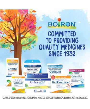 Boiron Bryonia 6X Homeopathic Medicine for Muscle & Joint Pain - 80 Pellets - Buy Online on GoSupps.com
