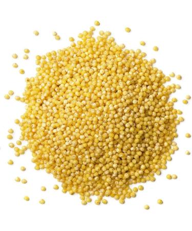 Organic Hulled Millet 10 Pounds - Non-GMO Whole Grain Seeds, Raw & Kosher - USA Product - Buy Online on GoSupps.com