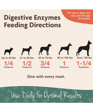 NaturVet Digestive Enzymes Plus Probiotic Powder for Dogs & Cats - 4 oz - Buy Online on GoSupps.com