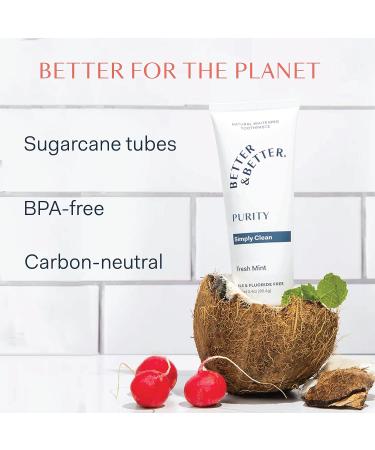 Better & Better Purity Toothpaste | Fluoride-Free & SLS-Free | Organic Mint for Sensitive Teeth | Vegan Whitening Toothpaste | 3.4oz (1 Pack) - Buy Online on GoSupps.com
