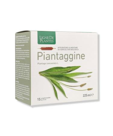 ligne de plantes Weegbree ampul 15 x 15 ml
