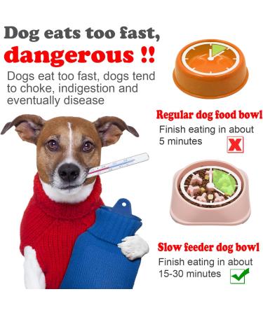 Pawsayes Slow Feeder Dog Bowl - Anti-Choking Snowflake Maze for Small to Medium Dogs - Pink - Buy Online on GoSupps.com