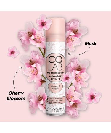COLAB+ Dry Shampoo Refresh & Protect 200ml 6 Pack - No Fuss All Hair Types Fresh Scent - Buy Online on GoSupps.com