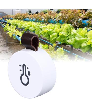 Buy Bluetooth Hygrometer Thermometer | Mini Temperature & Humidity Meter for Home - International Shipping - Buy Online on GoSupps.com