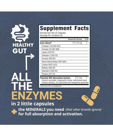 Healthy Gut HoloZyme Digestive Enzymes 180 Capsules and Magnesium-HP 90 Capsules - Buy Online on GoSupps.com