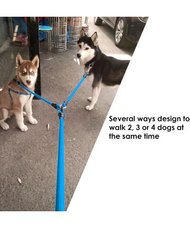 Premium Multi-Dog Leash for 1-4 Dogs | Faith-Free Chain Lead for Walking & Jogging | Perfect for Medium & Small Pets - Blue - Buy Online on GoSupps.com